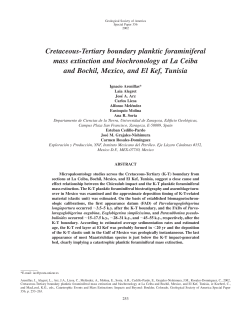 Cretaceous-Tertiary boundary planktic foraminiferal mass extinction