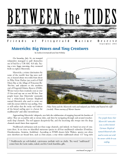 Mavericks: Big Waves and Tiny Creatures