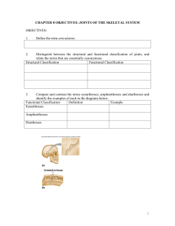 CHAPTER 8: JOINTS OF THE SKELETAL SYSTEM (M