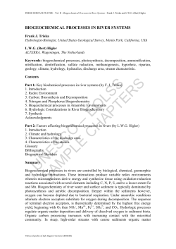 Biogeochemical Processes in River Systems