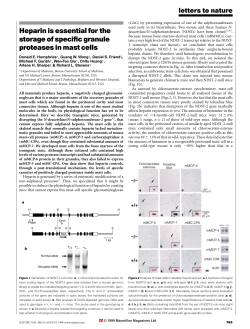 Heparin is essential for the storage of speci&reg;c granule proteases in