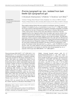 (Ips typographus) gut - International Journal of Systematic and