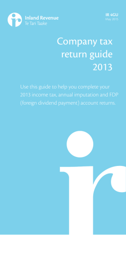 Company tax return guide 2013