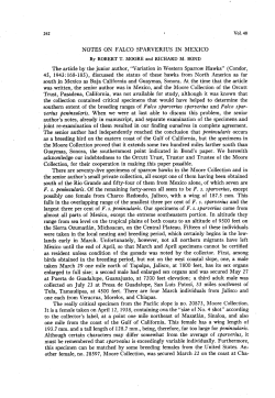 Notes on Falco sparverius in Mexico