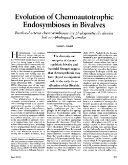 Evolution of Chemoautotrophic Endosymbioses in Bivalves