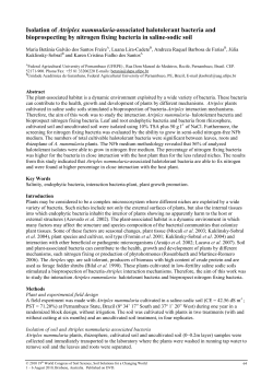 Isolation of Atriplex nummularia-associated halotolerant bacteria
