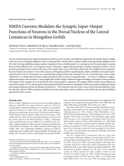 NMDA Currents Modulate the Synaptic Input&ndash;Output Functions of