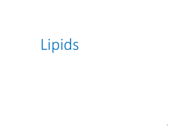 Chapter 21 Lipids