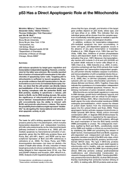 p53 Has a Direct Apoptogenic Role at the Mitochondria