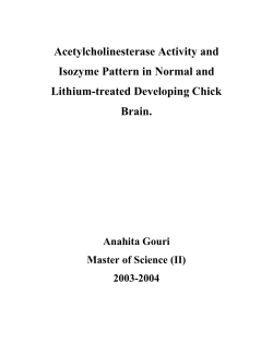 Acetylcholinesterase