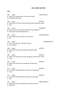 2015 JUNIOR ANATOMY EASY 502 (easy) TH91/HIH230