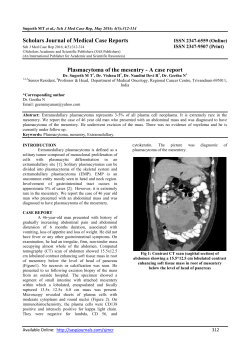 PDF - SAS Publishers