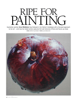 anne middleton - Rebecca Hossack Gallery