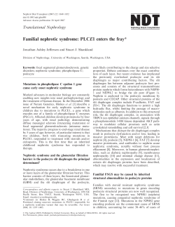 Familial nephrotic syndrome: PLCE1 enters the fray