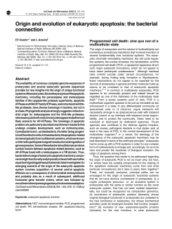 Origin and evolution of eukaryotic apoptosis: the bacterial connection