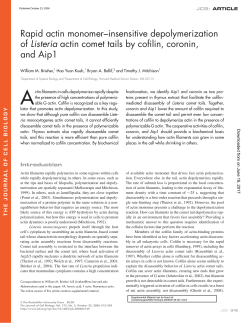 Rapid actin monomer&ndash;insensitive depolymerization of Listeria actin