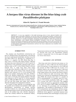A herpes-like virus disease in the blue king crab Paralithodes platypus