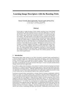 Learning Image Descriptors with the Boosting
