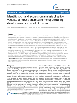Identification and expression analysis of splice variants of mouse