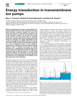 Energy transduction in transmembrane ion pumps