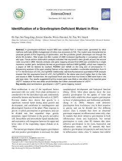 ScienceDirect Identification of a Gravitropism