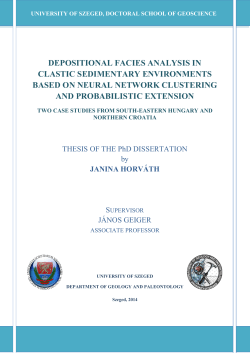 depositional facies analysis in clastic sedimentary