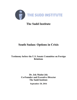 The Sudd Institute South Sudan: Options in Crisis