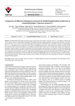 Comparison of different androgenesis protocols for doubled haploid
