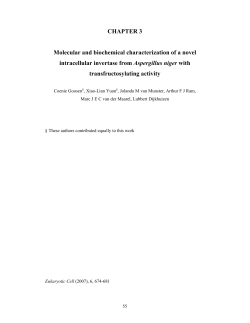 thesis coenie goosen