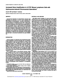 Increased Gene Amplification in L5178Y Mouse
