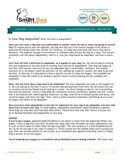 Is Your Dog Adaptable?