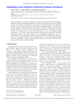 Treadmilling of actin filaments via Brownian dynamics simulations