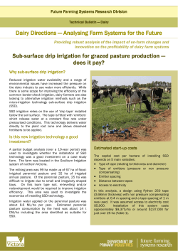 Sub Surface Drip Irrigation for Grazed Pasture