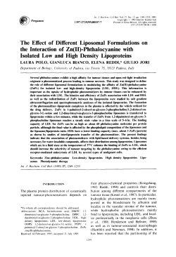 The Effect of Different Liposomal Formulations on the Interaction of
