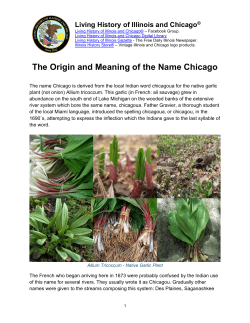 The Origin and Meaning of the Name Chicago