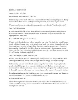 LOST CAT BEHAVIOUR August 14, 2013 at 7:57am