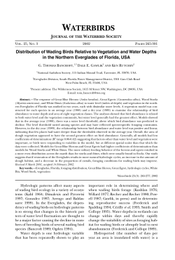 Distribution of Wading Birds Relative to Vegetation