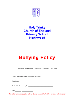 Bullying July 2013