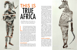 True Africa - Kojo Baffoe