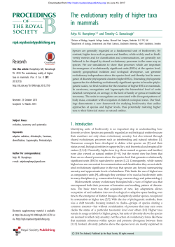 The evolutionary reality of higher taxa in mammals