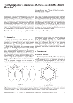 The Hydrophobic Topographies of Amylose and its Blue Iodine