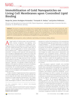 Immobilization of Gold Nanoparticles on Living Cell Membranes