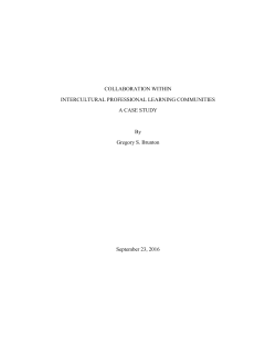 Executive Summary - International Baccalaureate