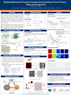 Poster - Comsol