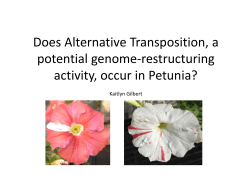 Does Alternative Transposition, a Potential Genome