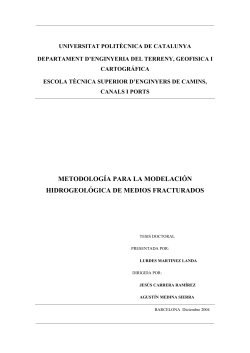 metodolog&iacute;a para la modelaci&oacute;n hidrogeol&oacute;gica de medios