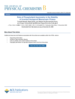 Role of Phospholipid Asymmetry in the Stability of Inverted