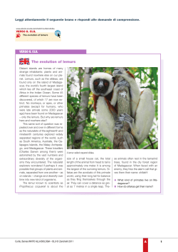 The evolution of lemurs