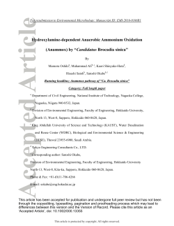 Hydroxylamine‐dependent Anaerobic Ammonium Oxidation