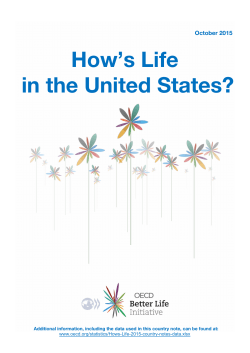 How`s Life in the United States?